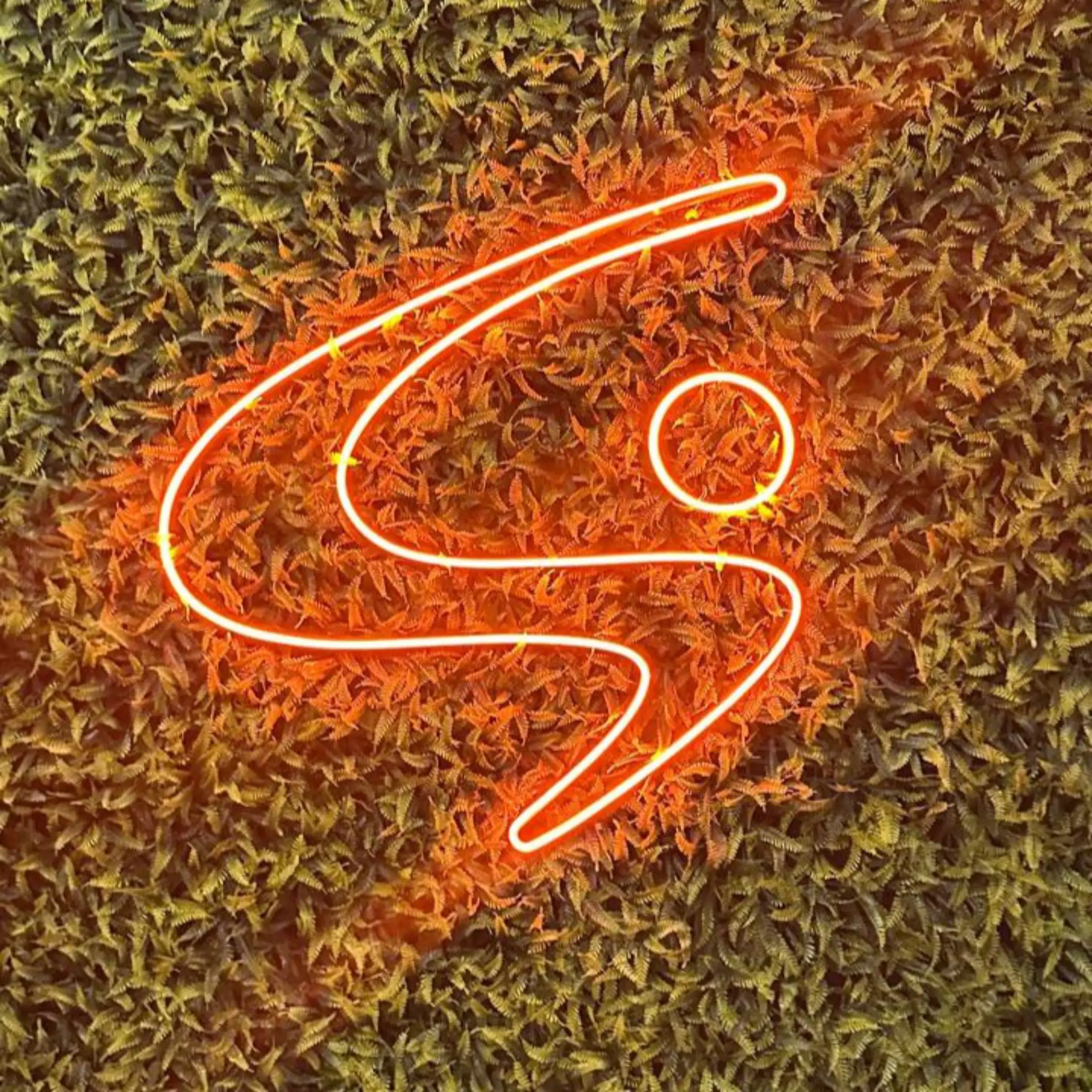 Símbolo luminoso em neon instalado em painel verde